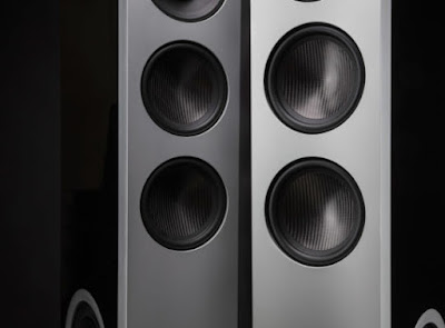D17 High-Performance Floorstanding Speakers