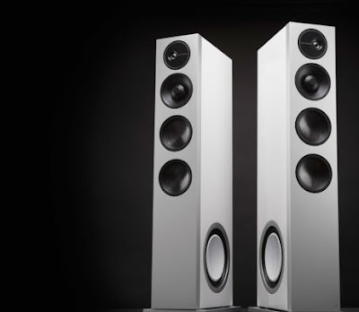 D17 High-Performance Floorstanding Speakers